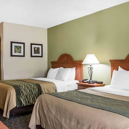 Comfort Inn Pine Grove I-81 Hershey Area Exterior photo