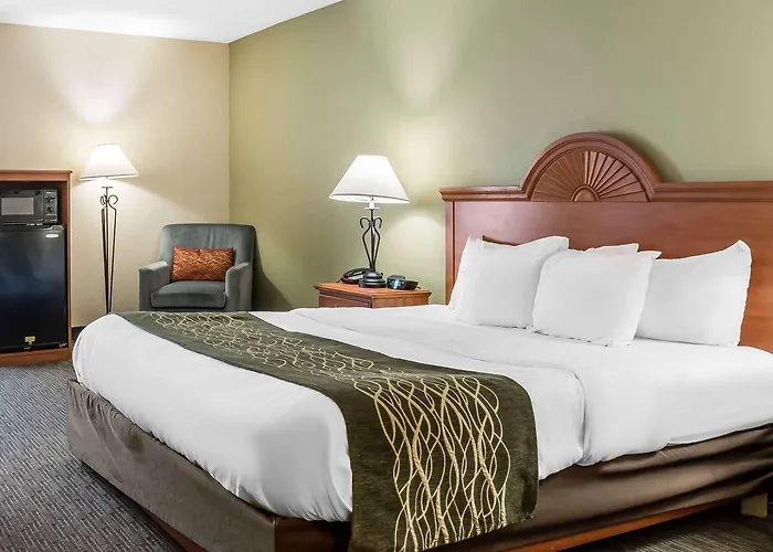 Comfort Inn Pine Grove I-81 Hershey Area