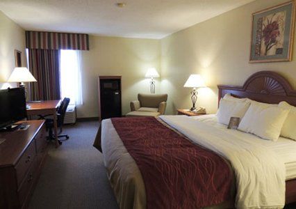 Comfort Pine Grove I-81 Hershey Area Inn 3*